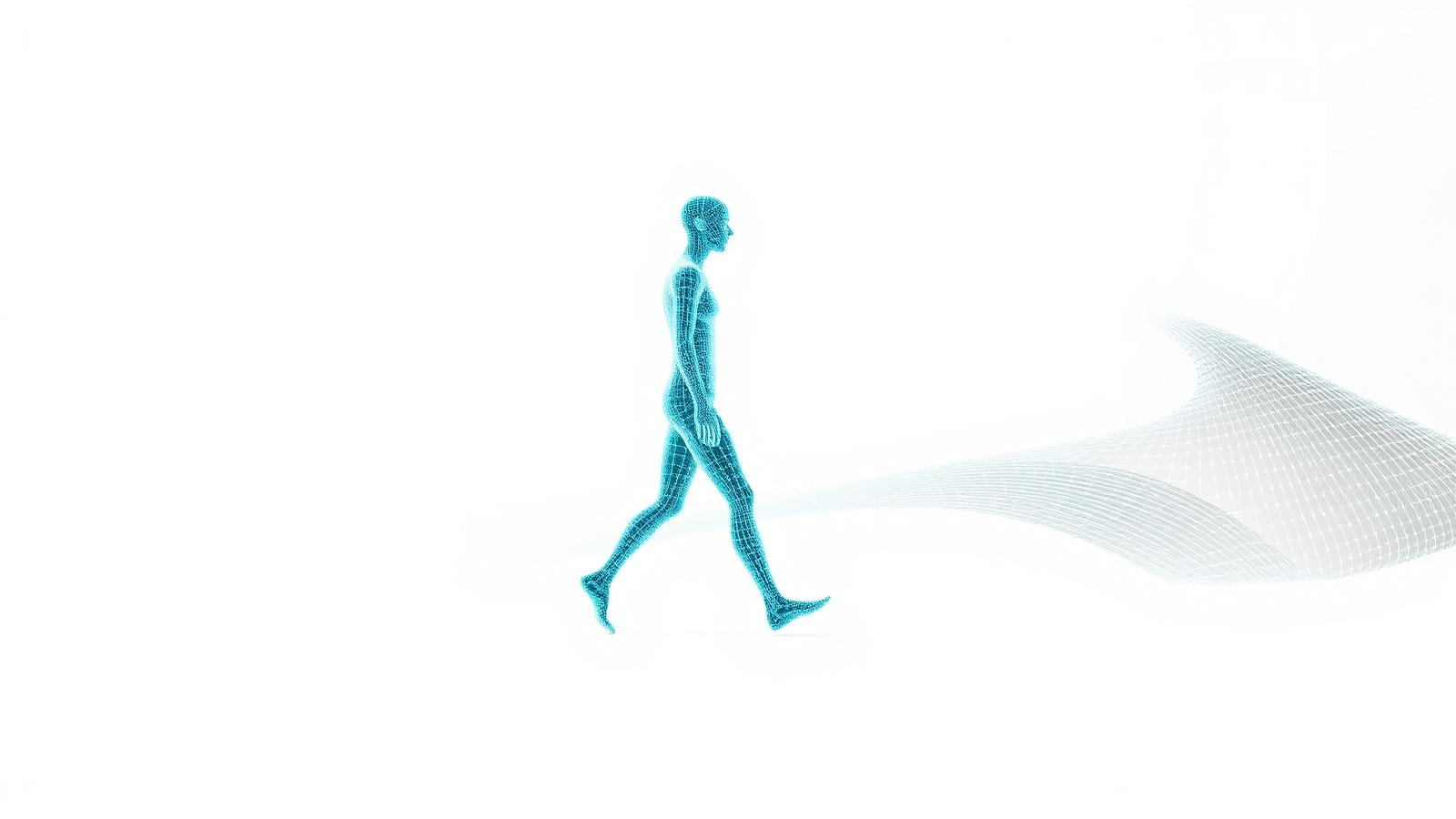 Wireframe visualization of a human gait cycle
